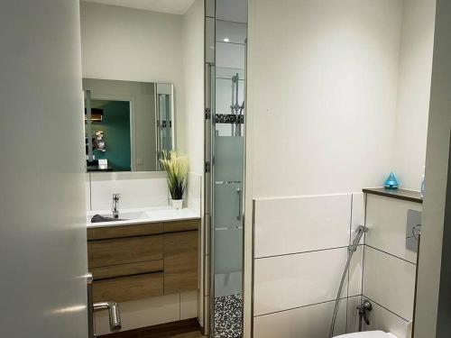 W łazience znajduje się umywalka, toaleta i lustro. w obiekcie Apt RDC avec sa terrasse privée w Saint-Malo