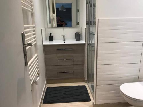 une salle de bain avec un lavabo, des toilettes et un miroir dans l'établissement Appartement Duplex refait à neuf, à Saint-Malo