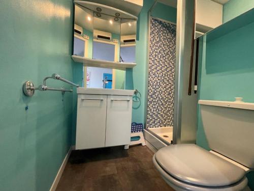 une salle de bain avec toilettes et un mur bleu dans l'établissement Charmant 2P, 2 couchages, parking, loggia, proche plage et centre, animaux acceptés - FR-1-225D-171, à Saint-Cyprien