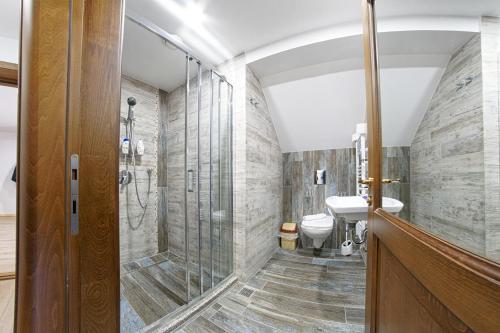 a bathroom with a shower and a toilet and a sink at Pensiunea Casa Elvira in Vama