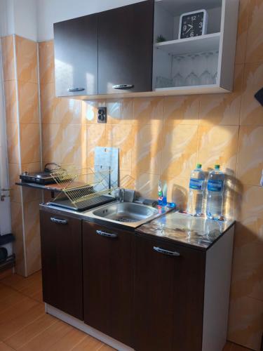 uma cozinha com um lavatório e uma bancada em Apartament BAȘAK 2 em Deva