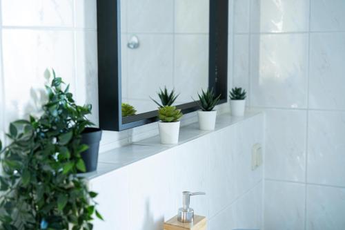 a bathroom sink with a mirror and potted plants at FullHouse - Eisenach - K31 - Balcony - 2 Queensize Beds - SmartTV in Eisenach