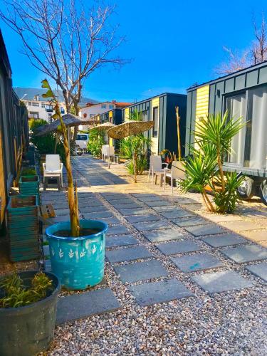 a stone walkway with a tree in a blue pot at Hotel Barba in Urla