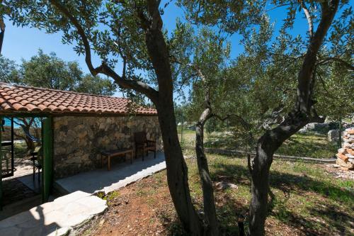 Κήπος έξω από το House Hacienda Stoerman