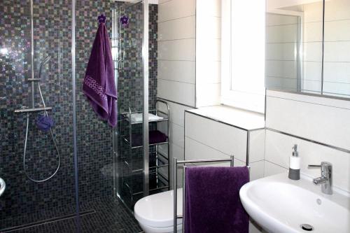 y baño con aseo y ducha. en Villa Aleksandra en Novigrad Istria