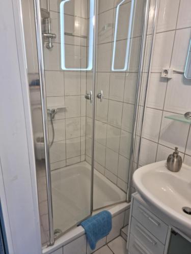 a bathroom with a shower and a sink at Gäth Thomsdorf in Riepsdorf