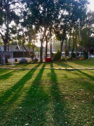 a shadow of a tree in a field with trees at Duenshine Resort in Kanchanaburi