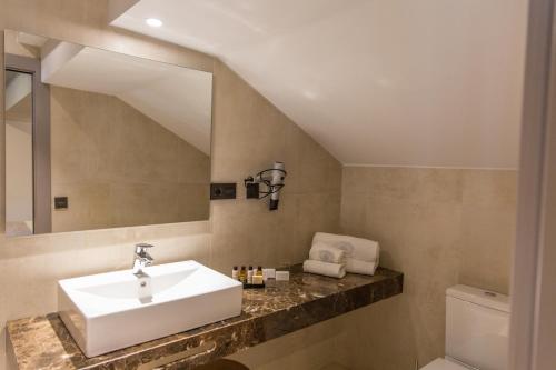a bathroom with a sink and a mirror at Hotel Palacete de Alamos in Málaga