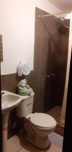 La salle de bains est pourvue de toilettes et d'un lavabo. dans l'établissement Casa N Campestre en las faldas del Taita Imbabura, à San Juan de Ilumán