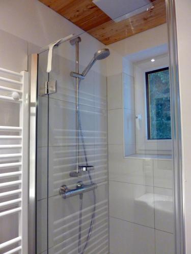 a shower with a glass door in a bathroom at Appartement-Pension Familie Gewessler in Bad Mitterndorf