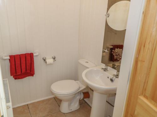 a white bathroom with a toilet and a sink at Glebe House in Ballinrobe