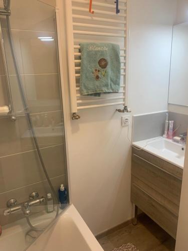 a bathroom with a shower and a sink at Anne et Stan - Chambres avec petit dejeuner - proche centre ville et circuit in Le Mans