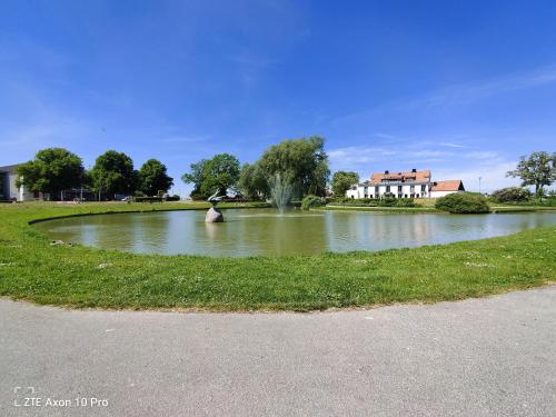 a duck is sitting in the middle of a pond at Etta - Visby in Visby