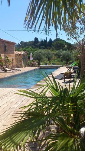 a view of a swimming pool with a palm tree at La Bastide des Sources in Le Castellet