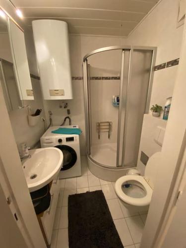 a bathroom with a shower and a toilet and a sink at City Apartment Tulln in Tulln