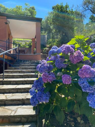 een bosje paarse bloemen voor een gebouw bij Appartamento Zenzero in Bellagio