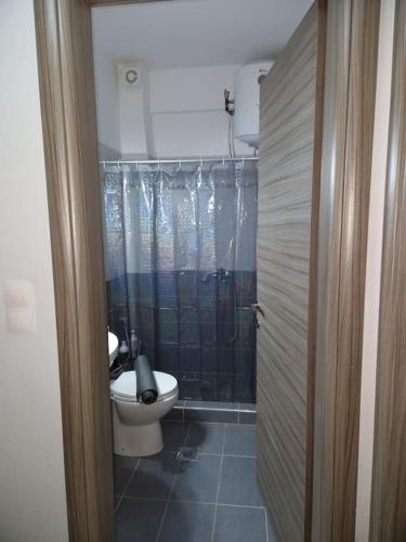 La salle de bains est pourvue d'une douche et de toilettes. dans l'établissement Sindos House SKG, à Síndos