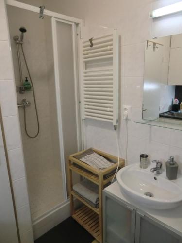 a bathroom with a sink and a shower at Apartmány Karlov pod Pradědem in Malá Morávka