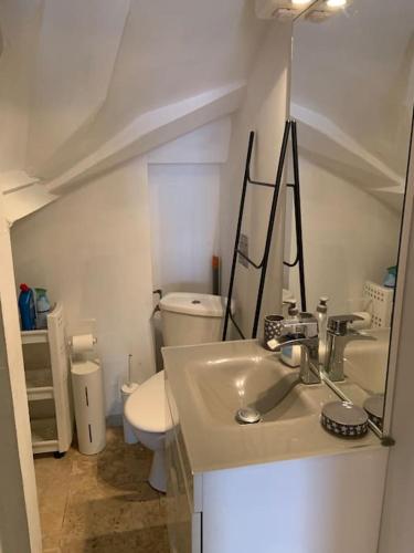 une salle de bain avec un lavabo et des toilettes dans l'établissement Mas 19e entièrement climatisé avec piscine à usage exclusif, à Roquemaure