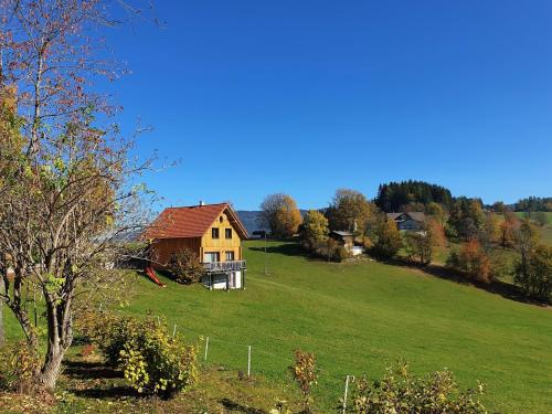 a house on a hill with a green field at Ferienhaus Lärchenhütte in Kasperle