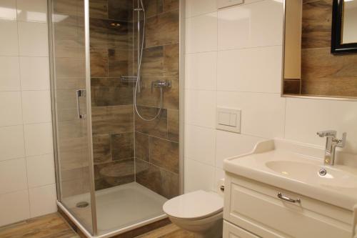 a bathroom with a shower and a toilet and a sink at Holzer-Hof 