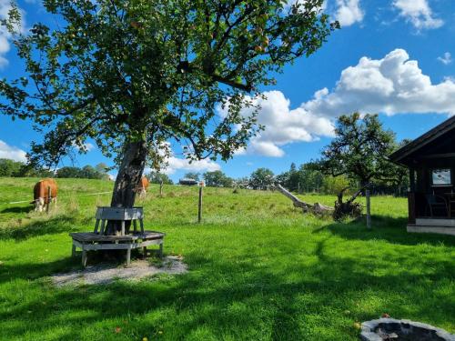 a bench under a tree in a field with cows at Holzer-Hof in Au