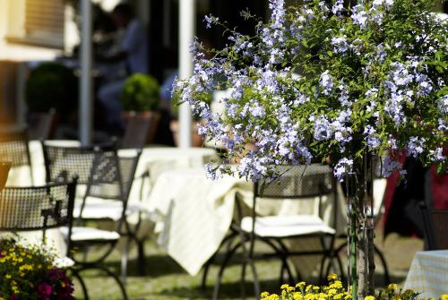 a vase filled with purple flowers on a table at Hotel & Restaurant Sonne in Kirchzarten