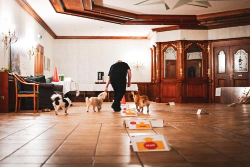 a man walking two dogs in a living room at Berghotel Steiger - Erzgebirge in Schneeberg