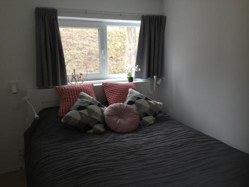 una camera da letto con letto, cuscini e finestra di Les terrasses de Malmedy duplex 420 a Malmedy