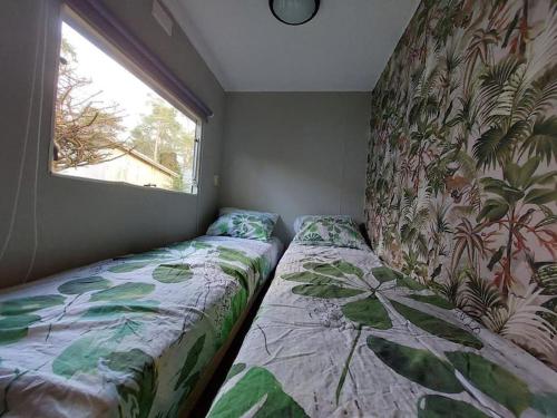 1 dormitorio con 2 camas junto a una ventana en Te Huur: leuke 4-persoons Stacaravan op top locatie! en Hoenderloo