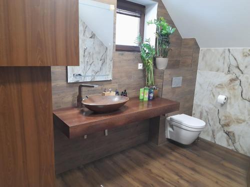 a bathroom with a sink and a toilet at Apartmánový Dom Terchová in Terchová