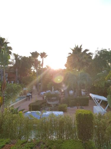 a view of a park with palm trees and the sunset at Hotel MR Les Rotes in Denia
