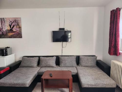 uma sala de estar com um sofá e uma televisão em Homestay u Hanky em Zdiby