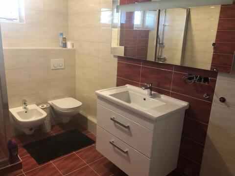 a bathroom with a sink and a toilet at Homestay u Hanky in Zdiby