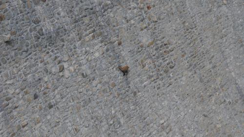 a brick wall with a small object on it at B&B Dove Comincia la Bella Italia in Beura