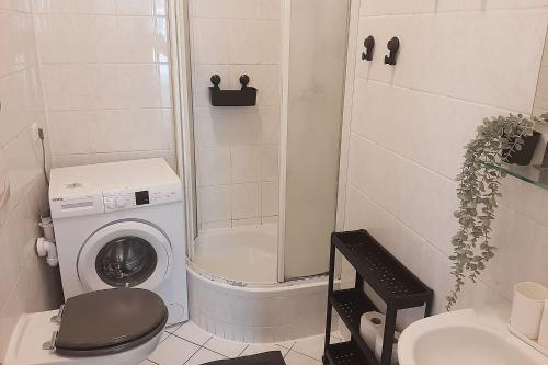 baño pequeño con lavadora y lavamanos en Gemütliches Apartment nahe der Elbe, en Magdeburgo