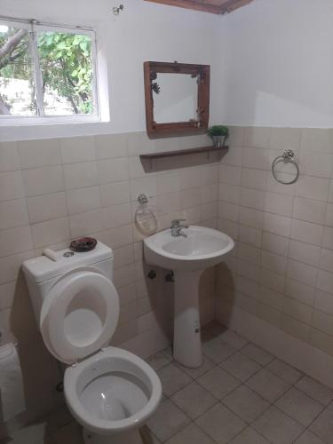 a bathroom with a toilet and a sink at Alojamiento Río Fenix Chico in Perito Moreno