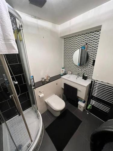 a bathroom with a toilet and a sink and a shower at GoldFlamingo in Mitcham