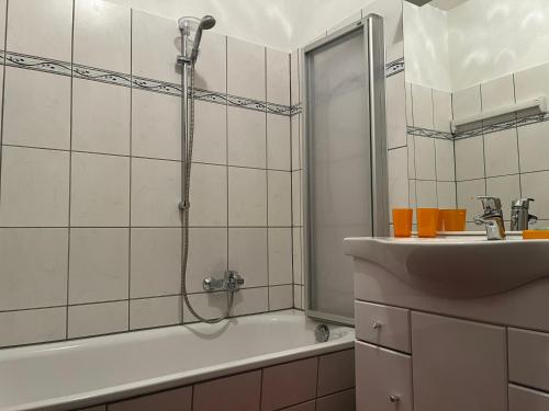 a bathroom with a shower and a sink at Der Falkenhorst in Bad Sachsa