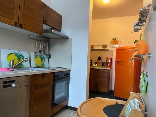 a kitchen with an orange refrigerator and a sink at Der Falkenhorst in Bad Sachsa
