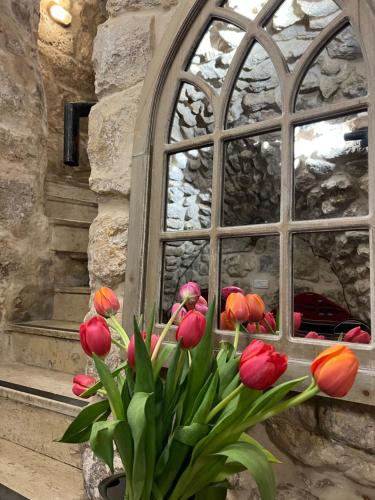 a vase of tulips in front of a window at New Citadel Hostel in Jerusalem