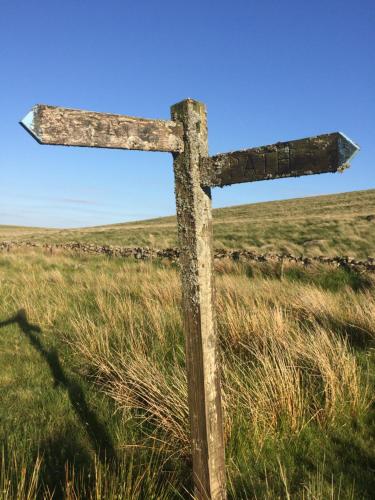 Tor Royal Farm – Photos 3