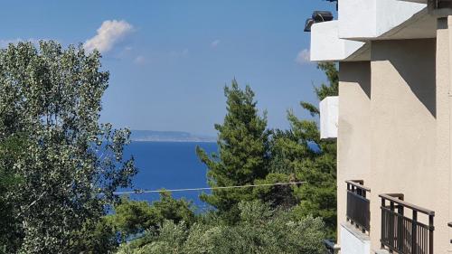 Gallery image of Hotel Pashos in Kriopigi