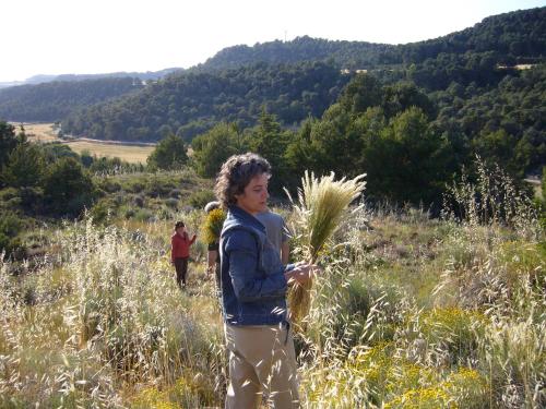 a woman standing in a field of tall grass at Ca L'Olier in Montblanquet