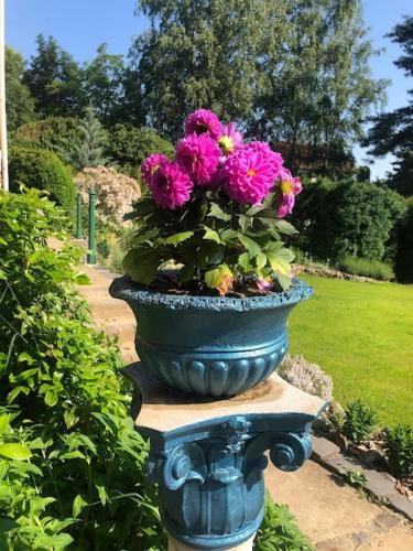 a pot of pink flowers sitting on a stand at Manor House on the Danube Bend in Tahitótfalu