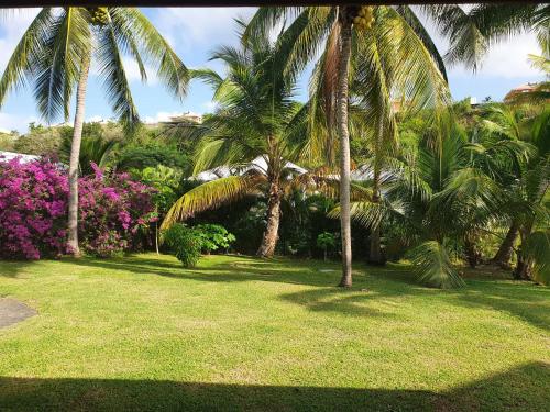 a park with palm trees and pink flowers at L'Odyssée - 3 pièces, piscine et mer, idéalement situé in Le Diamant