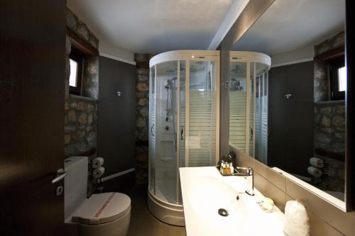 a bathroom with a shower and a sink and a toilet at Miramonte Chalet Hotel Spa in Palaios Agios Athanasios