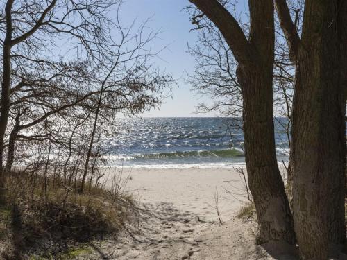 a view of the ocean from a beach with trees at Holiday Home Selma - 300m from the sea in Bornholm in Vester Sømarken