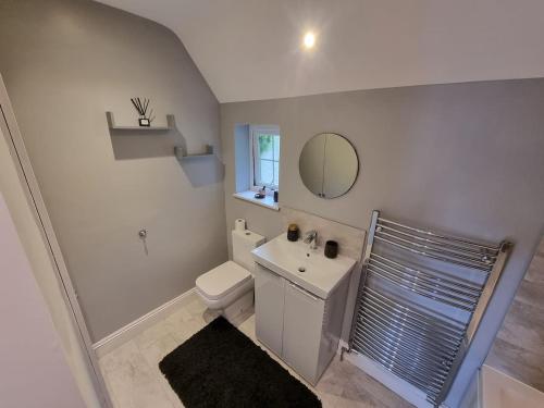 ein Badezimmer mit Toilette, Waschbecken und Spiegel in der Unterkunft 6 Bedroom Huge Holiday Home with parking in Luton