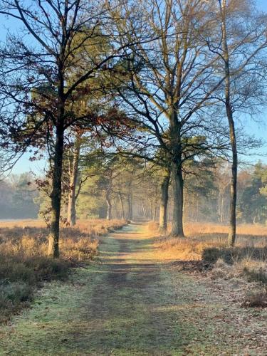 Overnachting Vanjewelste - Rustig Tiny House in het groen